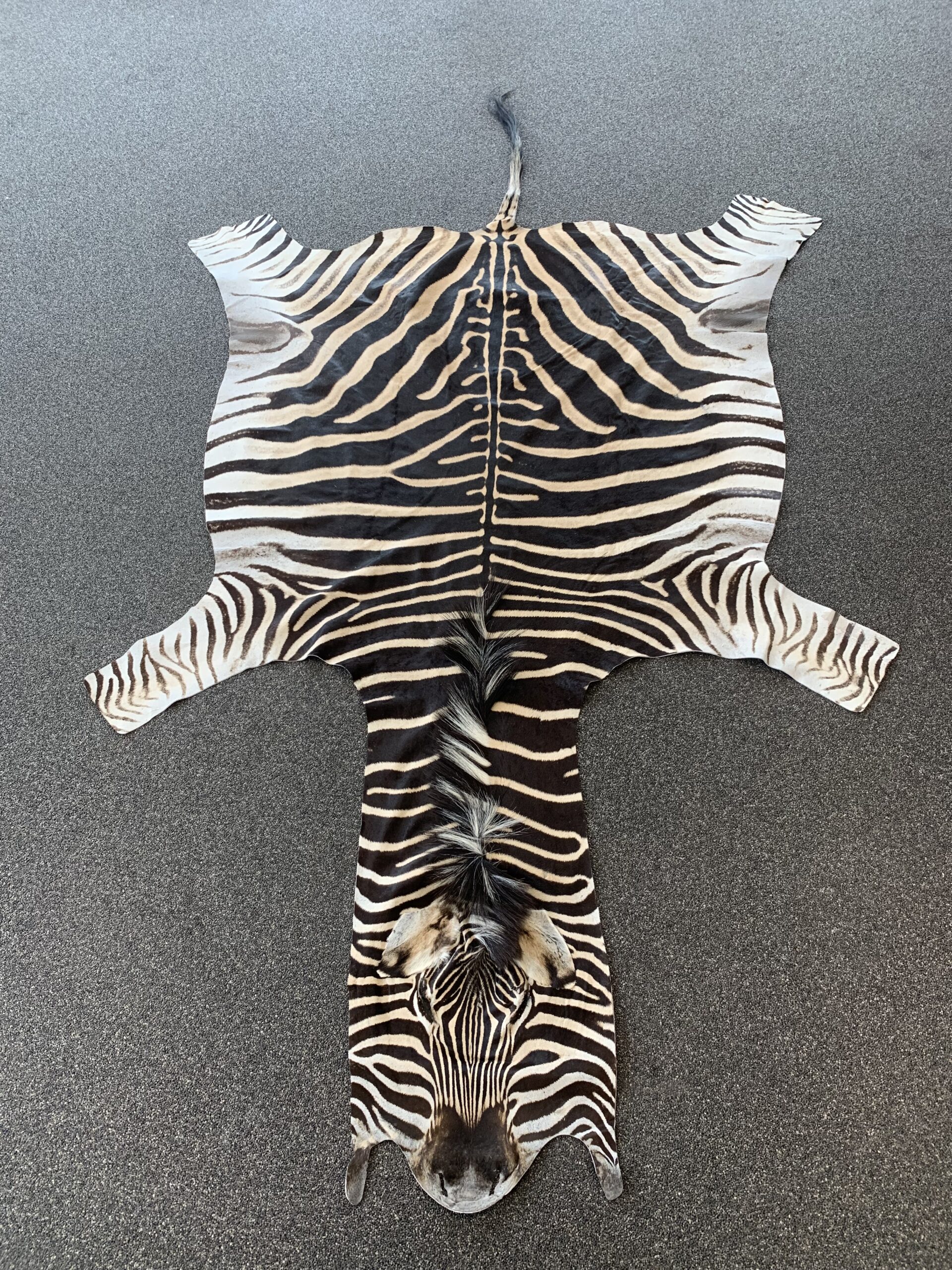 Zebra huid - Afbeelding 2