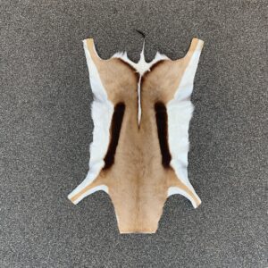 Springbok huid