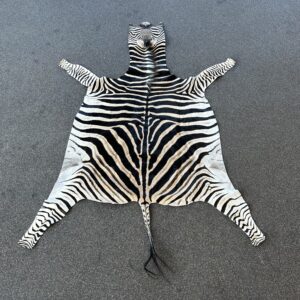 Zebra huid