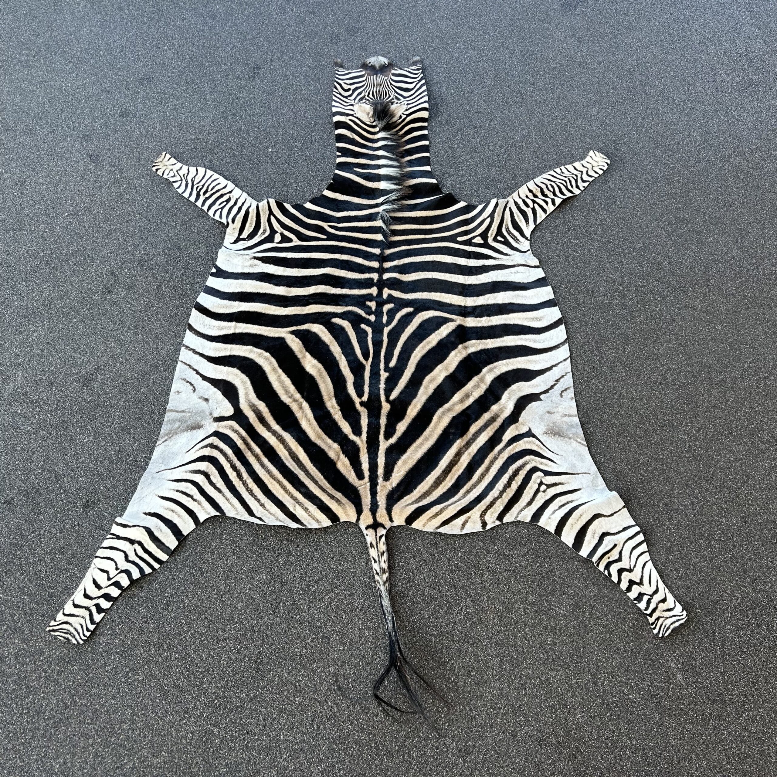 Zebra huid