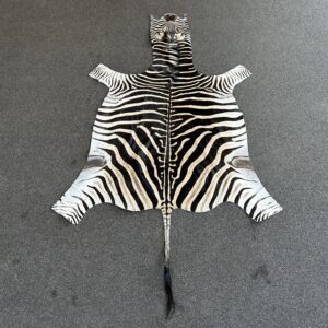 Zebra huid