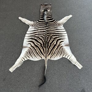 Zebra huid