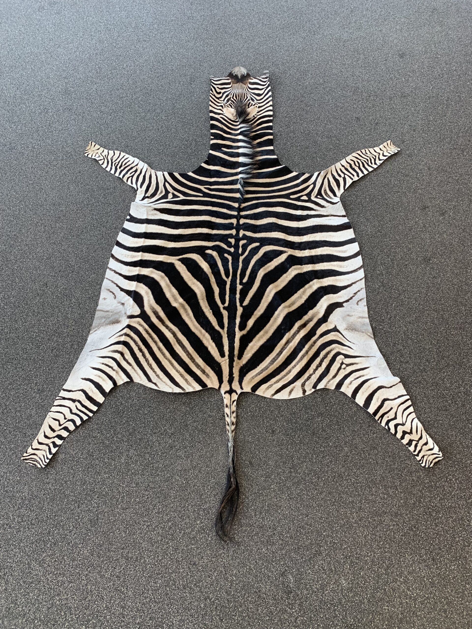 Zebra huid - Afbeelding 2