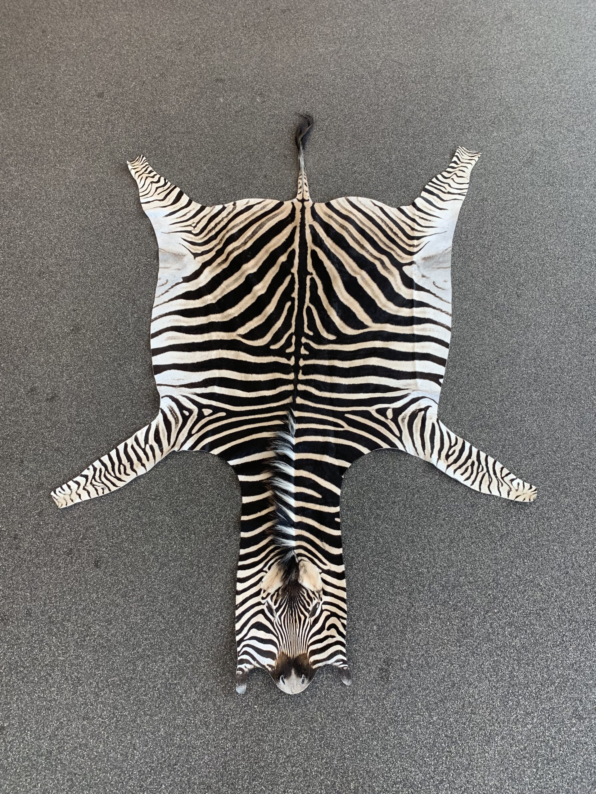 Zebra huid - Afbeelding 3