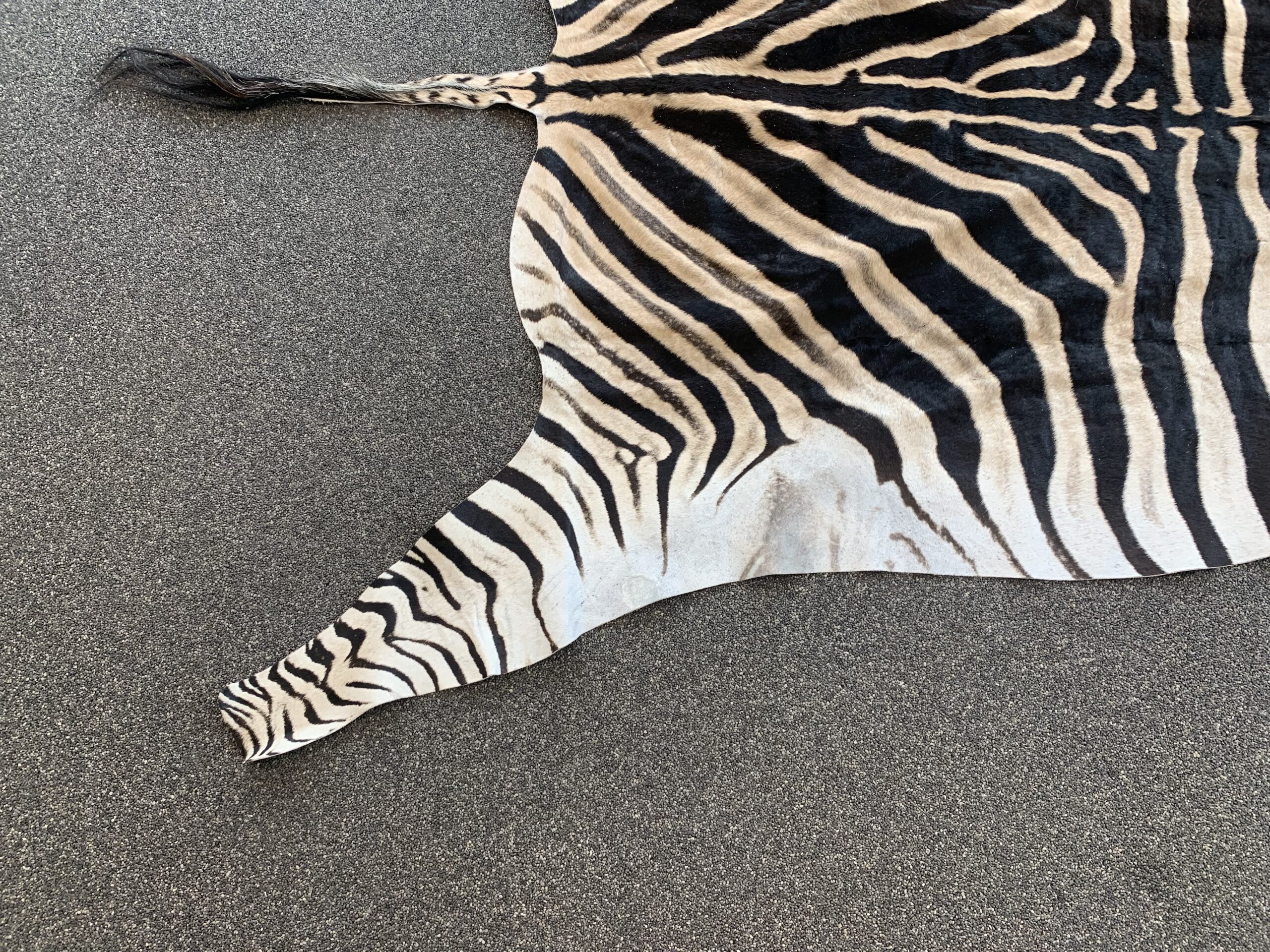 Zebra huid - Afbeelding 5